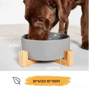 קערת אוכל לכלב מקרמיקה ובמבוק חומרים טבעיים